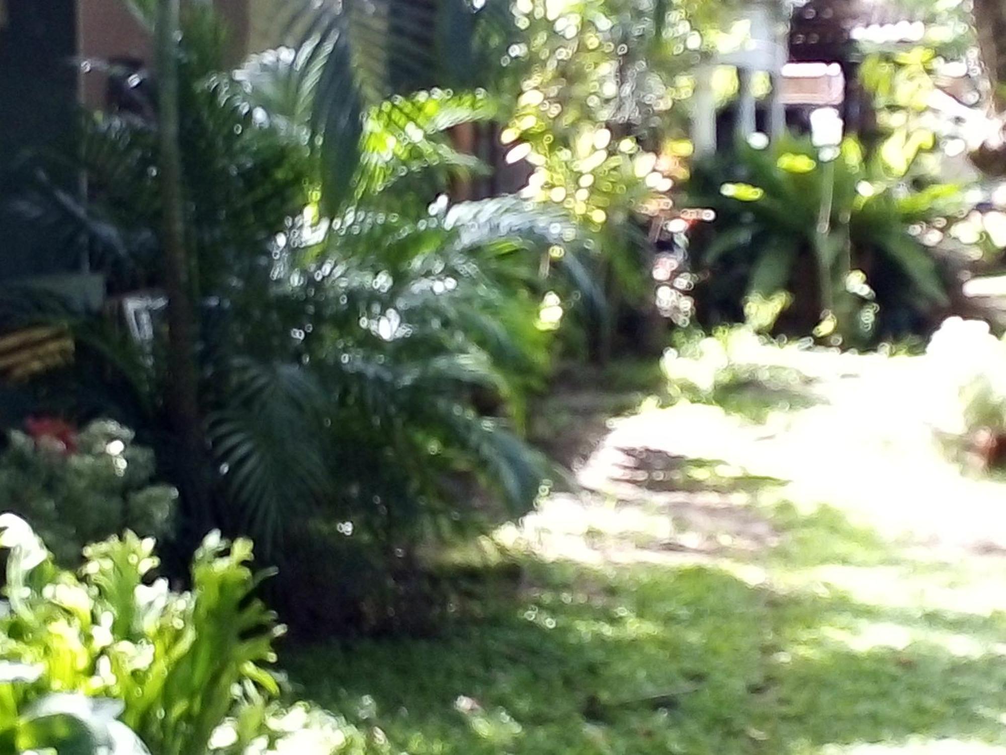 Bandula Home Stay Sigiriya Exterior photo